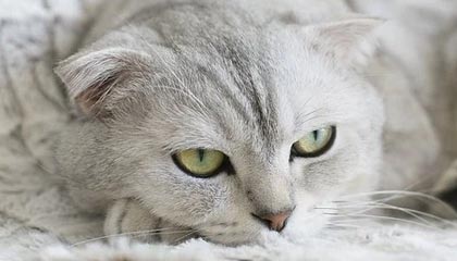 兰考伴游,定制QQ:3494206190微信:act1322